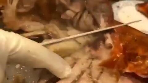 烤羊腿的爆料方法视频,视频揭秘独家爆料烹饪技巧